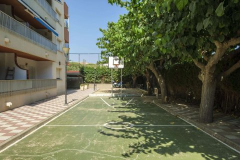 Lägenhet till salu i Arenys de Mar, Barcelona, Spanien 3 sovrum, 108 kvm. Nr. 160744 - foto 28