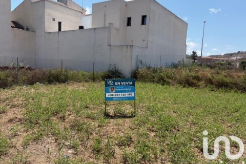 Zemes gabals Rojales, Alicante, Spānijā 797 m2 Nr. 173338