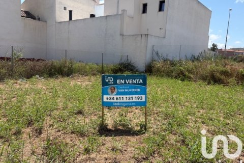 Działka w Rojales, Alicante, Hiszpania 797 mkw. nr 173338 – zdjęcie 5