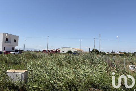 Działka w Rojales, Alicante, Hiszpania 797 mkw. nr 173338 – zdjęcie 15