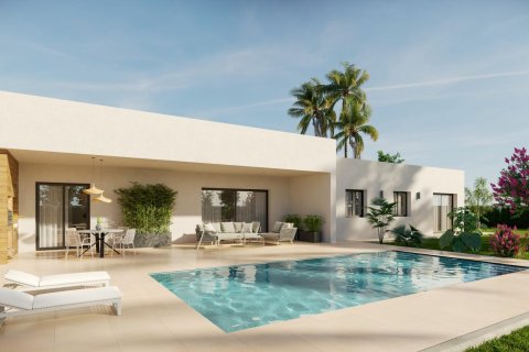 Villa till salu i Aspe, Alicante, Spanien 3 sovrum, 164 kvm. Nr. 171488 - foto 8