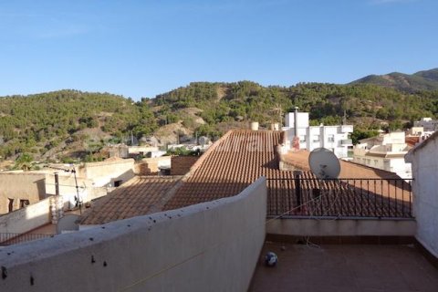 Продажа дома в Пурчена, Альмерия, Испания 3 спальни, 90м2 №184000 - фото 14