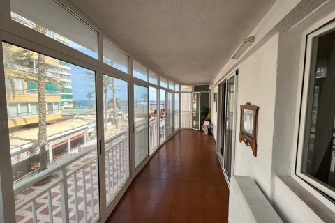 Apartamento en venta Benidorm, Alicante, España 3 dormitorios, 115 m2 No. 119384 - foto 5