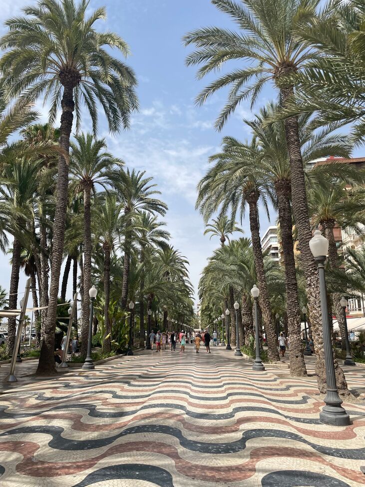 Apartament w Alicante, Hiszpania 3 sypialnie,  nr 195429