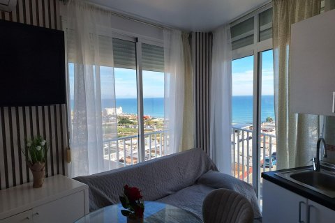Appartamento a Torrevieja, Alicante, Spagna 33 mq. N° 182938