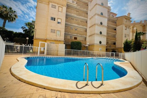 Huoneisto myytävänä Torrevieja, Alicante, Espanja, 1 makuuhuone, 55 m2 No. 183091 - kuva 12