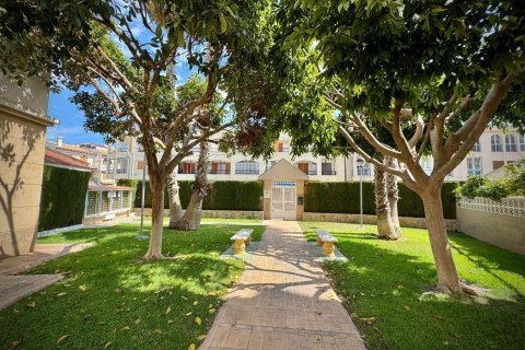 Huoneisto myytävänä Torrevieja, Alicante, Espanja, 1 makuuhuone, 55 m2 No. 183091 - kuva 11