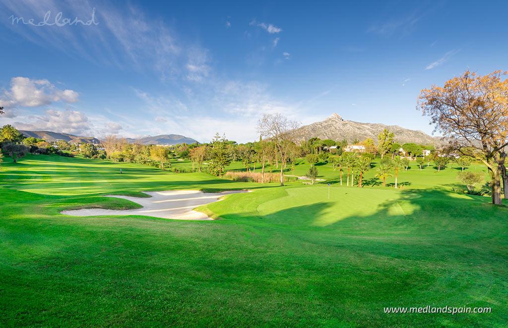 Apartment in San Pedro de Alcantara, Malaga, Spain 4 bedrooms, 319 sq.m. No. 182618