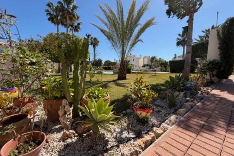 Bungalow w Torrevieja, Alicante, Hiszpania 1 sypialnia, 37 mkw. nr 182972 – zdjęcie 6