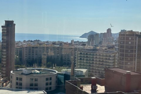 Appartamento in vendita a Benidorm, Alicante, Spagna 42 mq. N° 182969 - foto 11