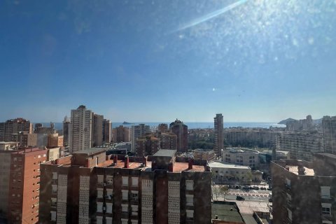 Appartamento in vendita a Benidorm, Alicante, Spagna 42 mq. N° 182969 - foto 10