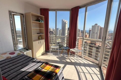 Apartment in Benidorm, Alicante, Spain 42 sq.m. No. 182969