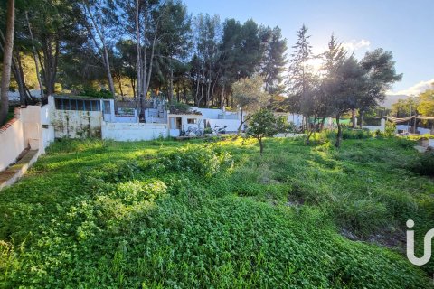 Продажа земельного участка в Алаурин-де-ла-Торре, Малага, Испания 1308м2 №185651 - фото 5