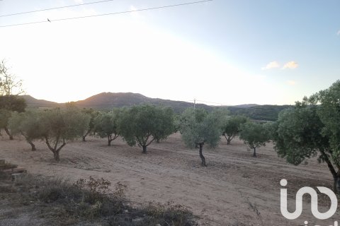 Zemes gabals Salinas, Alicante, Spānijā 18088 m2 Nr. 185653