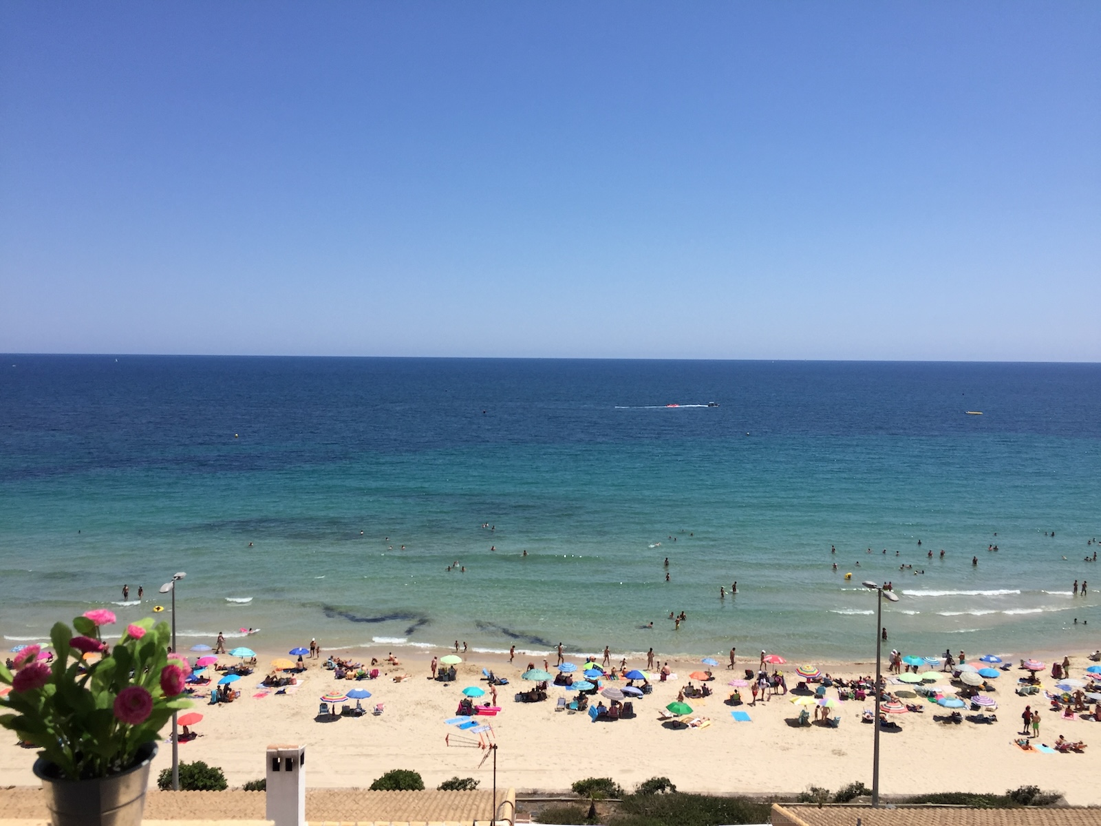 Apartament w Mil Palmeras, Alicante, Hiszpania 3 sypialnie, 96 mkw. nr 143813