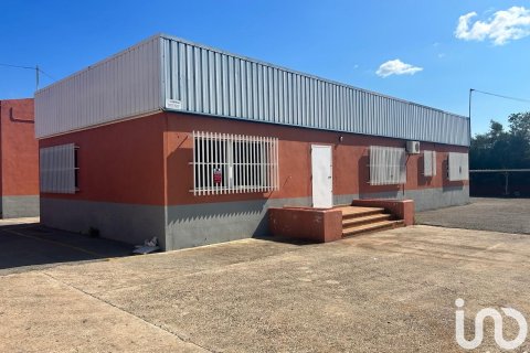 Продажа земельного участка в Винарос, Кастельон, Испания 1500м2 №153165 - фото 9