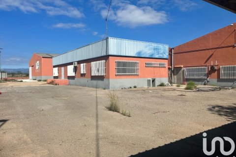 Продажа земельного участка в Винарос, Кастельон, Испания 1500м2 №153165 - фото 13