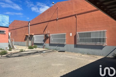 Продажа земельного участка в Винарос, Кастельон, Испания 1500м2 №153165 - фото 17