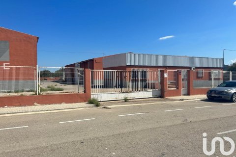 Продажа земельного участка в Винарос, Кастельон, Испания 1500м2 №153165 - фото 6