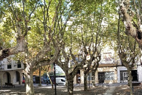 Продажа коммерческой недвижимости в Оуренсе, Оренсе, Испания 280м2 №153166 - фото 3