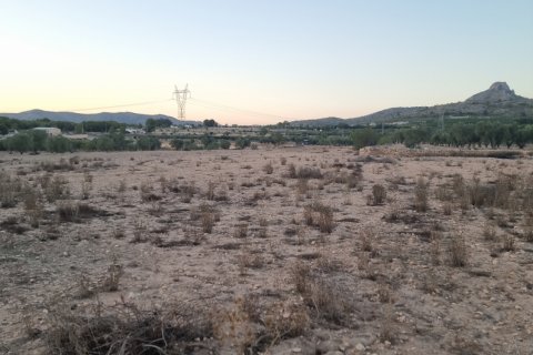 Land plot for sale in Salinas, Alicante, Spain 13753 sq.m. No. 185664 - photo 6