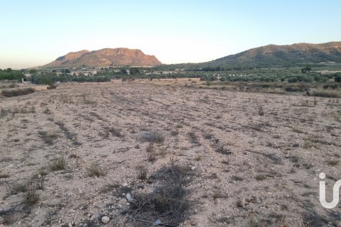 Terreno a Salinas, Alicante, Spagna 13753 mq. N° 185664