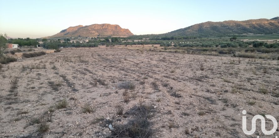 Land plot in Salinas, Alicante, Spain 13753 sq.m. No. 185664