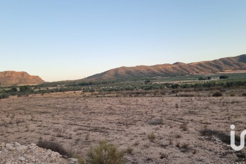 Land plot for sale in Salinas, Alicante, Spain 13753 sq.m. No. 185664 - photo 2