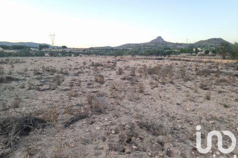 Land plot for sale in Salinas, Alicante, Spain 13753 sq.m. No. 185664 - photo 3