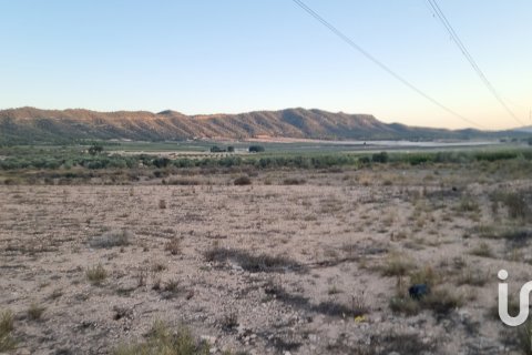 Land plot for sale in Salinas, Alicante, Spain 13753 sq.m. No. 185664 - photo 4