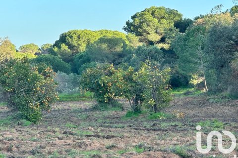 Land plot in Villablanca, Huelva, Spain 47440 sq.m. No. 185567