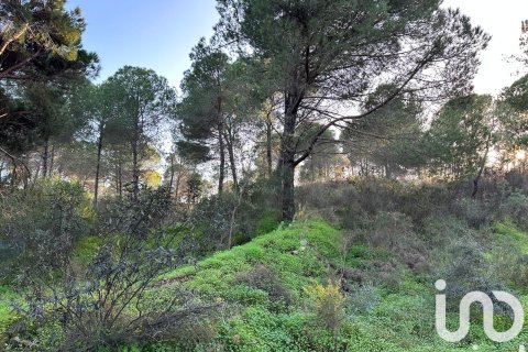 Продажа земельного участка в Вильябланка, Уэльва, Испания 47440м2 №185567 - фото 3