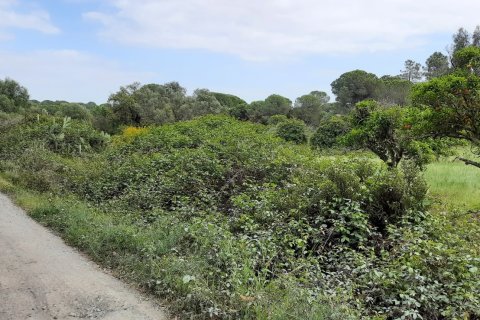 Terreno in vendita a Villablanca, Huelva, Spagna 24682 mq. N° 185568 - foto 11