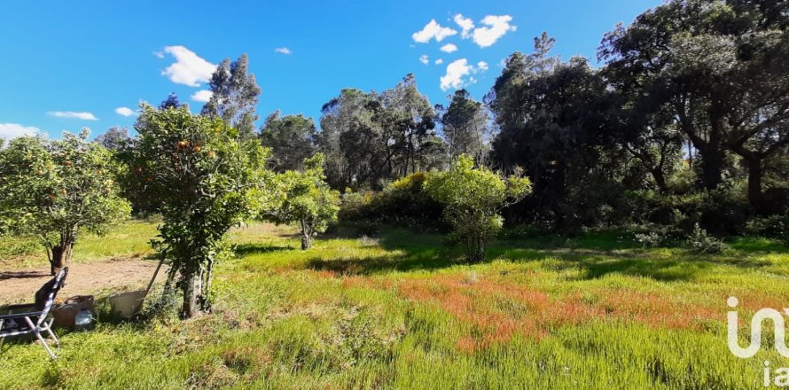 Terreno a Villablanca, Huelva, Spagna 24682 mq. N° 185568