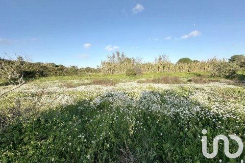 Terreno in vendita a Villablanca, Huelva, Spagna 24682 mq. N° 185568 - foto 3