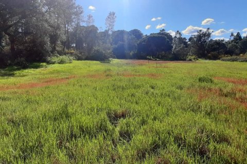 Terreno in vendita a Villablanca, Huelva, Spagna 24682 mq. N° 185568 - foto 6
