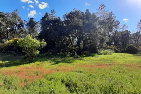 Terreno in vendita a Villablanca, Huelva, Spagna 24682 mq. N° 185568 - foto 8