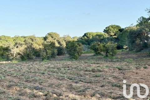 Terreno in vendita a Villablanca, Huelva, Spagna 24682 mq. N° 185568 - foto 5