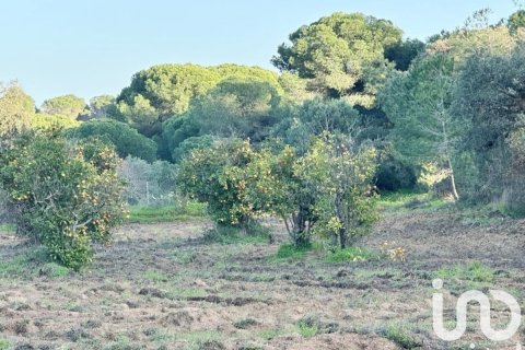 Terreno in vendita a Villablanca, Huelva, Spagna 24682 mq. N° 185568 - foto 2