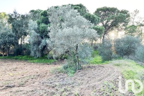 Terreno in vendita a Villablanca, Huelva, Spagna 24682 mq. N° 185568 - foto 4