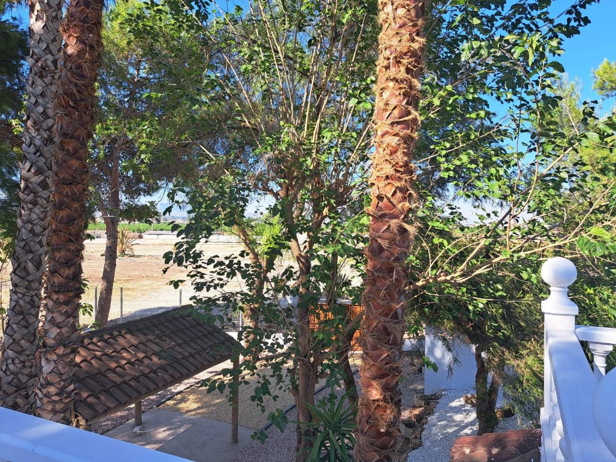 Villa en Orihuela, Alicante, España 5 dormitorios, 250 m2 No. 102249