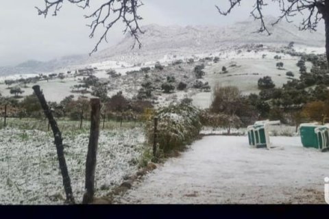 Terreno in vendita a Grazalema, Cadiz, Spagna 29963 mq. N° 154223 - foto 7