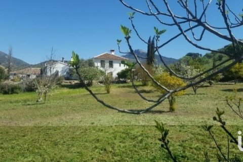 Terreno in vendita a Grazalema, Cadiz, Spagna 29963 mq. N° 154223 - foto 9