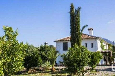 Земельный участок в Грасалема, Кадис, Испания 29963м2 №154223