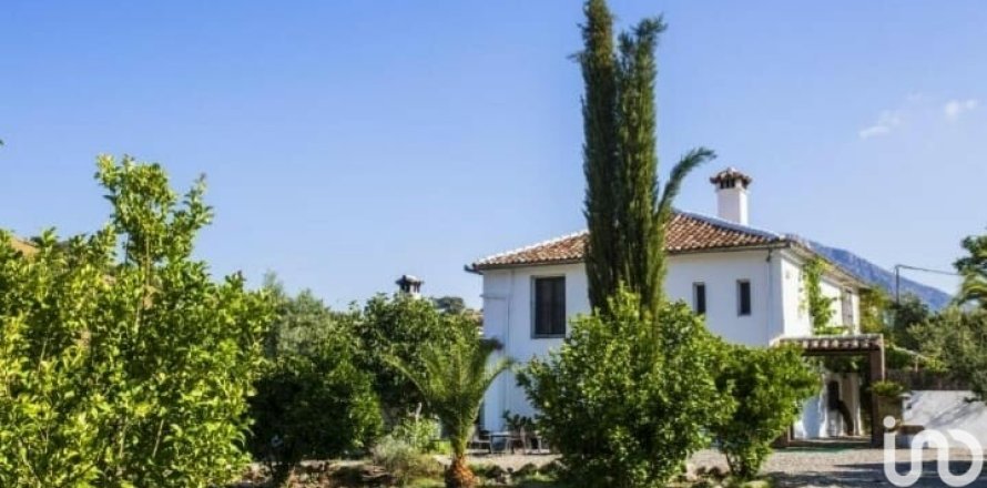 Terreno a Grazalema, Cadiz, Spagna 29963 mq. N° 154223