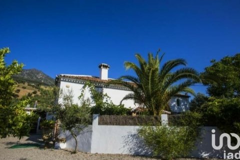 Terreno in vendita a Grazalema, Cadiz, Spagna 29963 mq. N° 154223 - foto 4