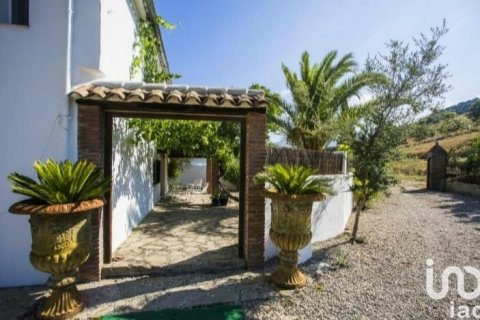 Terreno in vendita a Grazalema, Cadiz, Spagna 29963 mq. N° 154223 - foto 11