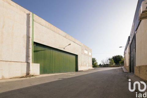 Commercial property for sale in Granada, Spain 3709 sq.m. No. 154221 - photo 4