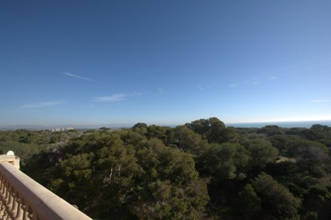 Lägenhet till salu i Guardamar del Segura, Alicante, Spanien 3 sovrum, 112 kvm. Nr. 190932 - foto 15