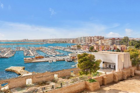 Lägenhet till salu i Torrevieja, Alicante, Spanien 5 sovrum,  Nr. 154810 - foto 27